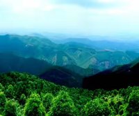 广西六万生态修复监测保护课题组飞播日常训练